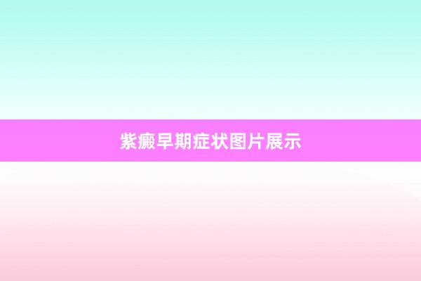 紫癜早期症状图片展示